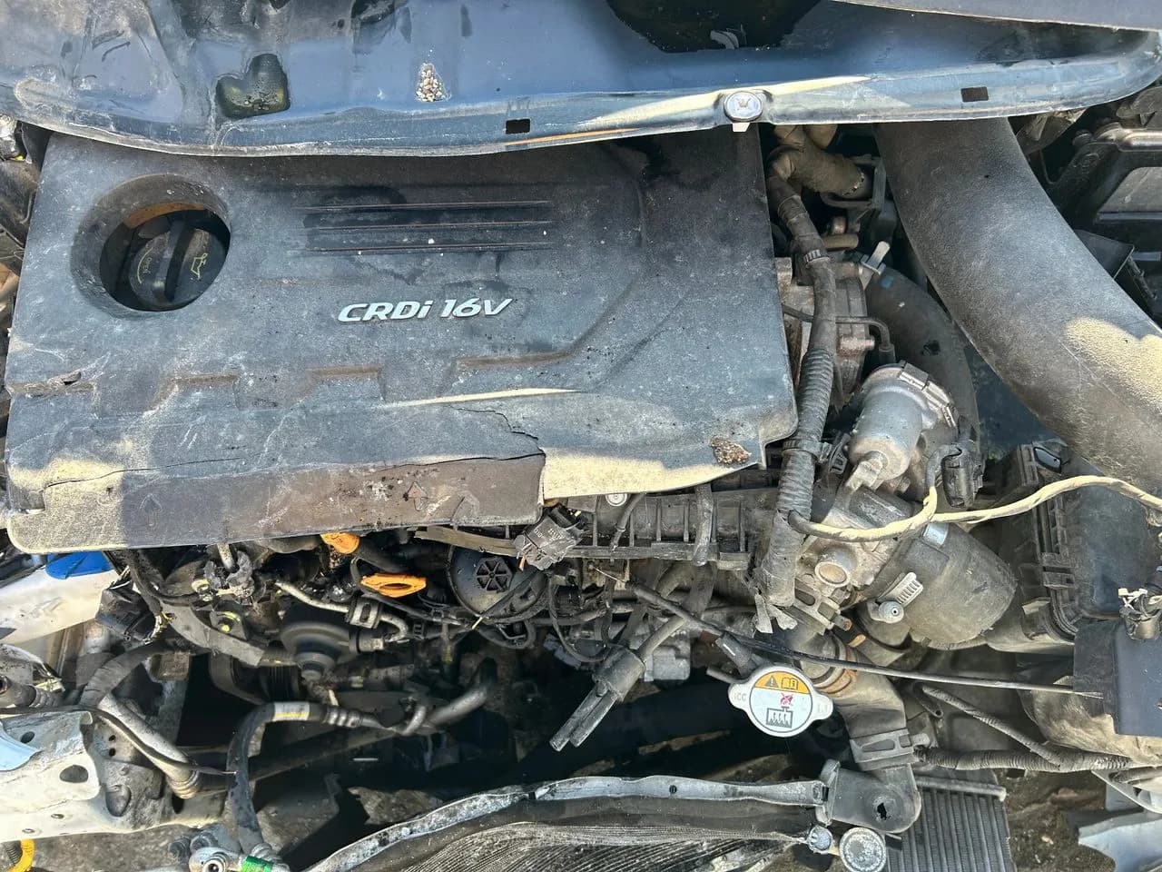 Kia Venga