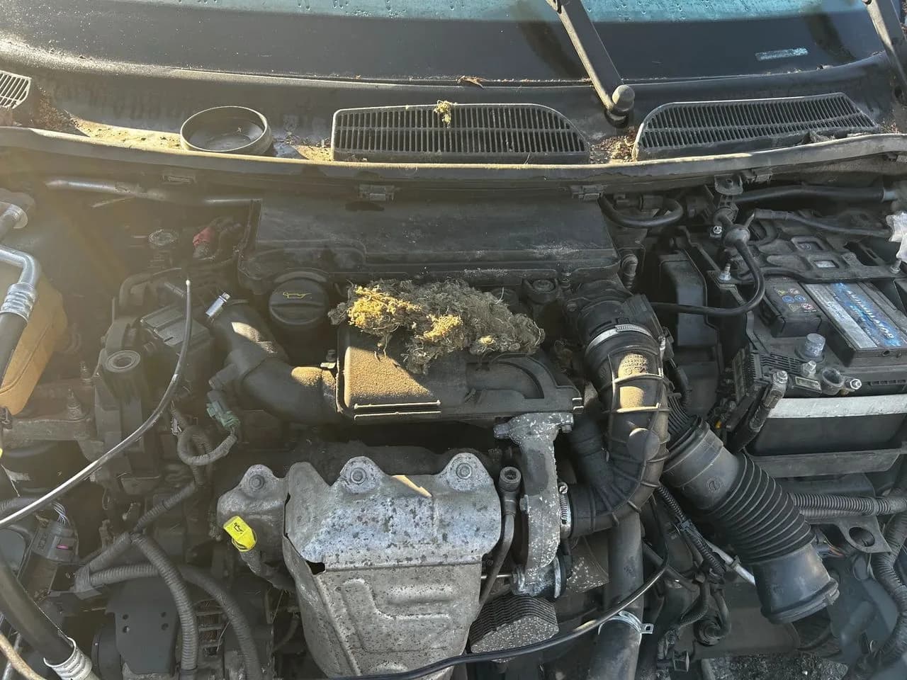 Ford Fiesta mk7 1,4TDCI 68KM wtryskiwacz wtrysk – zdjęcie 1